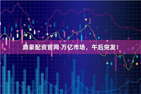 鼎豪配资官网 万亿市场，午后突发！