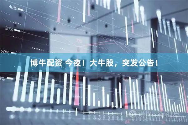 博牛配资 今夜！大牛股，突发公告！