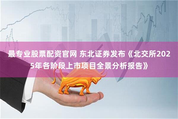 最专业股票配资官网 东北证券发布《北交所2025年各阶段上市项目全景分析报告》