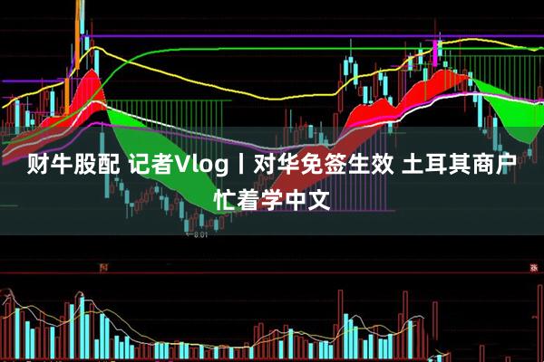 财牛股配 记者Vlog丨对华免签生效 土耳其商户忙着学中文