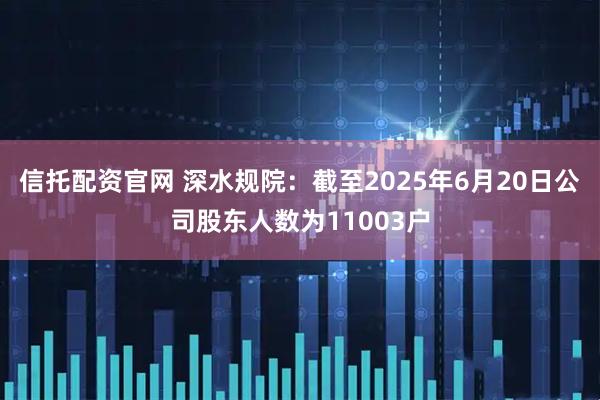 信托配资官网 深水规院：截至2025年6月20日公司股东人数为11003户