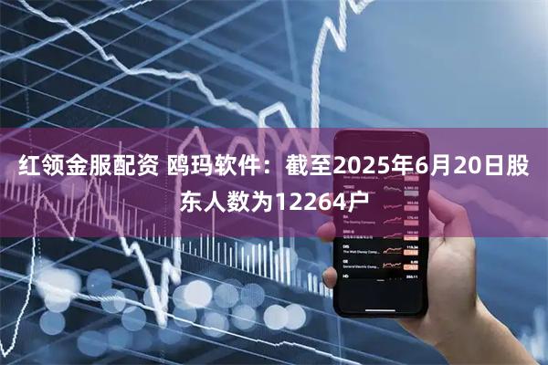红领金服配资 鸥玛软件：截至2025年6月20日股东人数为12264户
