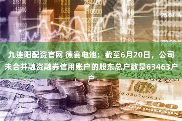 九连阳配资官网 德赛电池：截至6月20日，公司未合并融资融券信用账户的股东总户数是63463户