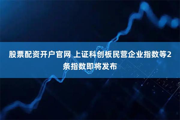 股票配资开户官网 上证科创板民营企业指数等2条指数即将发布